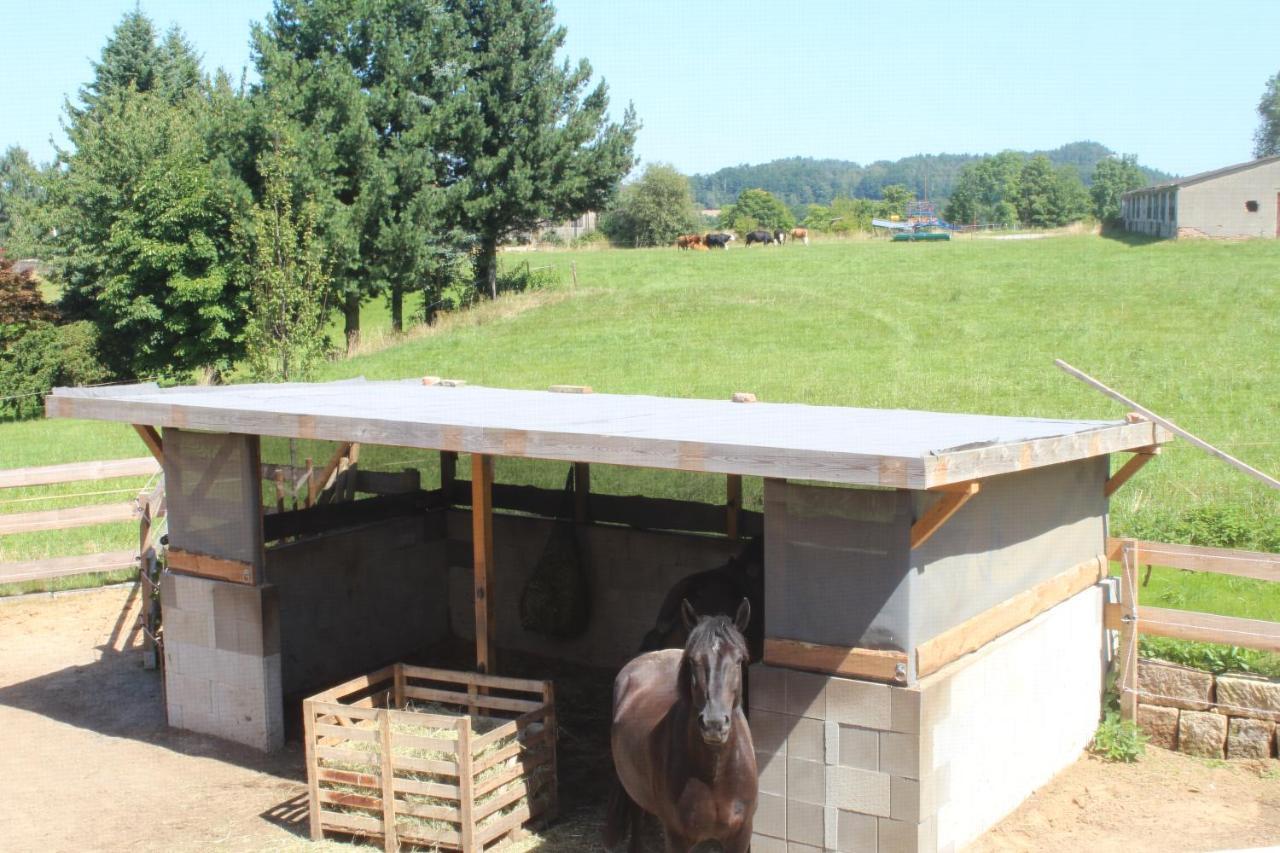 Ferienwohnung Feldblick Struppen Dış mekan fotoğraf